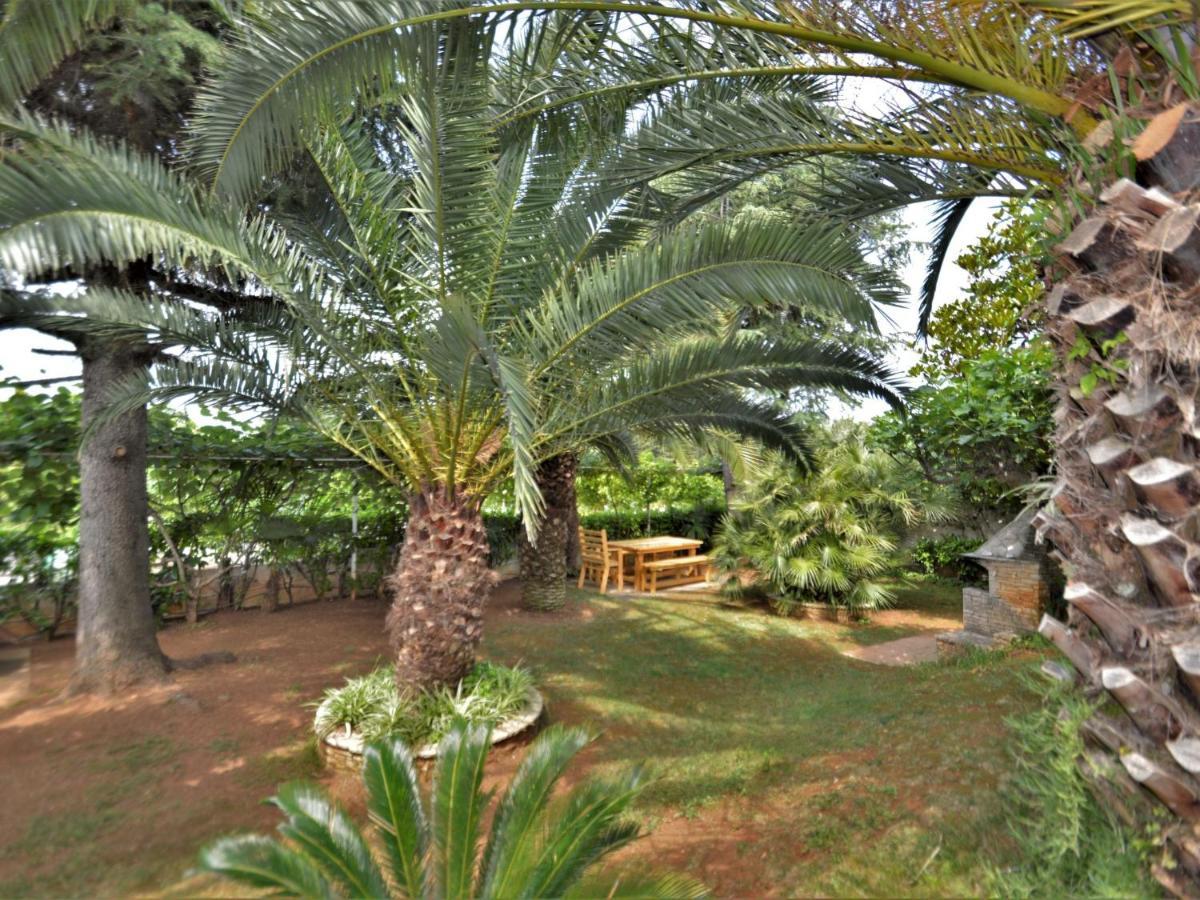 מדולין Apartment Denise By Interhome מראה חיצוני תמונה